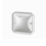 NOWE PLEXO - KLOSZ DO SYGNALIZATORA BEZBARWNY