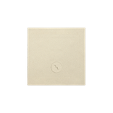 Simon 55 Klawisz pojedynczy z oczkiem z piktogramem /schody/ do: SW6M Szampański mat