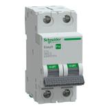 Wyłącznik nadprądowy Easy9 PRO 6kA 2P C13A EZ9F57213 Schneider