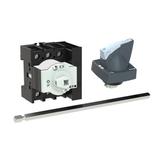 P1-25/M4/HI11/K1-PG Rozłącznik 3P 25A przedłużka metalowa 400mm 172776 EATON