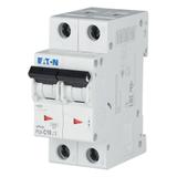 PL6-C10/2 Wyłącznik nadprądowy 6kA C10A 2P 286565 EATON