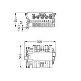 wielowtyk typu T Linect® /20szt./ WAGO