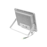 NOCTIS LUX 2 SMD 230V 100W IP65 NW white