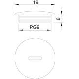108, ZAŚLEPKA GWINTOW.PG9 TW.SZ
