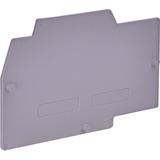 Płytka skrajna do ESC-SFR.6 ESC-SFR.6/PT 003903062 ETI