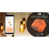 DOUBLE LED 2 kanałowy sterownik oświetlenia LED 12/24V Wi-Fi WI-LED2S2-P F&F