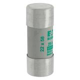 CYLINDRICAL FUSE 22 x 58 25A AM 690V AC Wkładka cylindryczna 22 x 58mm 25A AM 690V AC C22M25 EATON