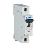 FAZ-C3/1 Wyłącznik nadprądowy 15kA C3A 1P 278551 EATON