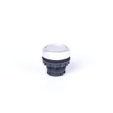 Ex9P1 FI w Główka z przyciskiem płaskim z samopowrotem bez nadruku możliwość podświetlenia biała