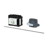 P3-100/M4/N/HI11/K2-PG Rozłącznik 4P 100A przedłużka metalowa 400mm 172833 EATON