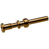 LS1.5 A SCEM 3,6MM AU 4-6 (10)