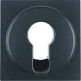 BERKER B.X Płytka czołowa do łącznika na klucz antracyt mat 15071606 HAGER