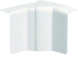 tehalit.SL Kąt wewnętrzny regulowany 20x55, biały SL2005549016 HAGER