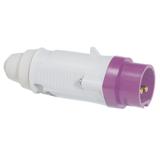 P17 Wtyczka Przenośna 16 A/24 V/2P IP44  055221 LEGRAND