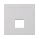 Simon Connect Płytka S500 1x RJ bez osłon PANDUIT czysta biel