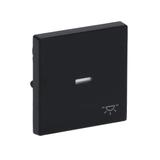 CARAT/FUTURE  Klawisz z symbolem „światło” Do przycisku zwiernego antracyt