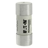 40A 690V 22X58 INDICATED 22 X 58MM 40A 700V 22X58 cylindryczna do półprzewodników wybijak 22 X 58MM