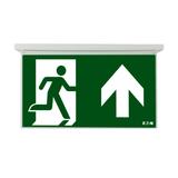 NexiTech LED opal szyba strzałka do góry / strzałka do góry 30m ISO7010 NEXI-PLEXO-UU EATON