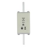 170M7356 FUSE 125A 800V AC gR SIZE 1 DUAL IND