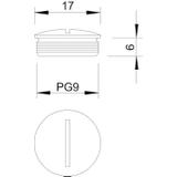 168/MS, ZAŚLEPKA GWINTOW.PG9 MS/NIKL.