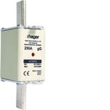 Wkładka bezp. nożowa NH1 wsk.podw. uchwyt nieiz. gG 250A 690 VAC LNH1250M6 HAGER