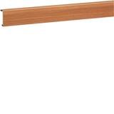 tehalit.SL Pokrywa 20x55 buk SL200552D2 HAGER