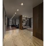 Oprawa DOWNLIGHTSURFACE DN 250 P 45W 830 36D IP65 WT