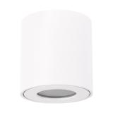 Oprawa sufitowa ZORBA DWL GU10 WHITE