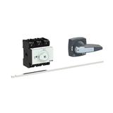 P3-100/M4/K2-PG Rozłącznik 3P 100A przedłużka metalowa 400mm 172827 EATON