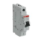 S401M-B16 wyłącznik nadprądowy SMISSLINE 2CCS571001R0165 ABB