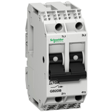 Wyłącznik silnikowy miniaturowy 2p 16A 220A GB2DB21 Schneider
