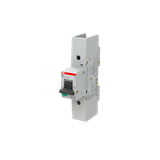 S801S-D63-R Wyłącznik nadprądowy 50kA 1P D63A 2CCS861002R0631 ABB