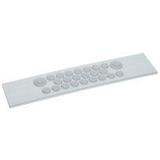 Plyta Dlawnicowa Z Oslabieniami 020021 LEGRAND