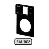 Q25TGR-X RAMKA TABLICZKI JASNOSZARA