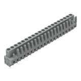 MCS-MIDI Classic gniazdo 20-bieg. szare raster 5 mm /10szt./ WAGO