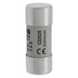 CYLINDRICAL FUSE 22 x 58 25A GG 690V AC Wkładka cylindryczna 22 x 58mm 25A GG 690V AC C22G25 EATON