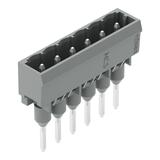 MCS-MIDI Classic wtyk 6-bieg. szary raster 5 mm /100szt./ WAGO