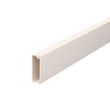 KANAŁ WDK Z POKRYWĄ 10X30 B