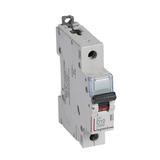 Wyłącznik Nadprądowy S 311 1P D10A 10000A DX3 409430 LEGRAND
