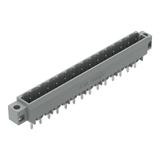 MCS-MIDI Classic wtyk 14-bieg. szary raster 5 mm /50szt./ WAGO