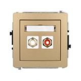 DECO Mechanizm gniazda podwójnego RCA (typu cinch - biały i czerwony, pozłacany) złoty metalik