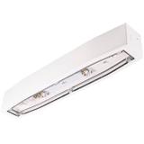 Oprawa sieciowo-awaryjna natynkowa SUPREMA LED SC 150 SA 3H CT IP54 NT / soczewka korytarzowa / 9470