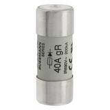 40A 690V AC gR 22X58mm FUSE WITH STRIKER Wkładka szybka 40A AC 690V 22x58 gR IEC UL wybij FWP-40G22F