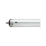 Świetlówka Fa6 20W 640 4100K TLX przeciwwybuchowa PHILIPS