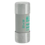 CYLINDRICAL FUSE 22 x 58 100A AM 500V AC Wkładka cylindryczna 22 x 58mm 100A AM 500V AC C22M100 EATO