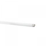 ŚWIETLÓWKA  58W/830 3000K  SPECTRUM