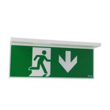 NexiTech LED opal szyba strzałka w dół / strzałka w dół 20m ISO7010 NEXI-PLEXO-20-DD EATON