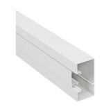 ZATRZASKOWA LISTWA KABLOWA 100 X 50, Legrand