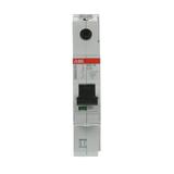 S401M-C13 wyłącznik nadmiarowo-prądowy SMISSLINE