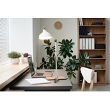 Żarówka LED 10,5W=100W 1521lm 4000K barwa neutralna kulka 10,5-100W E27 A60 840 Szkło matowe PHILIPS